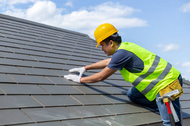 Roof Gutter Cleaning in Newport, NC