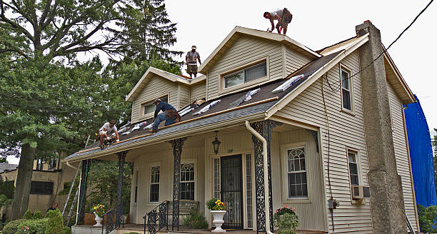 Best Storm Damage Roof Repair  in Newport, NC