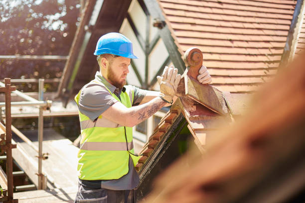 Best Storm Damage Roof Repair  in Newport, NC